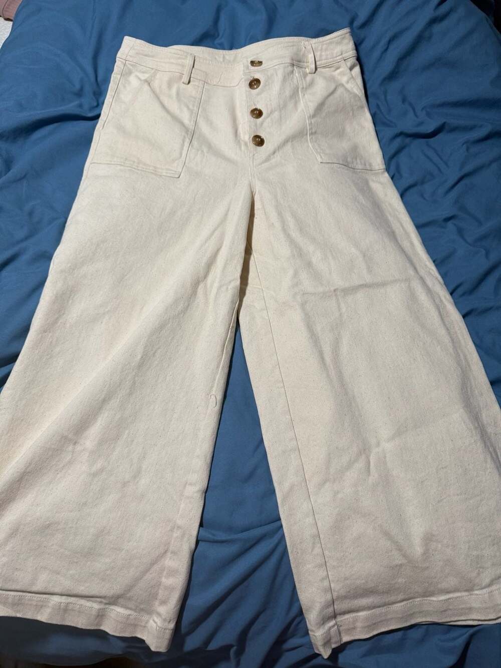 Alya Wide Leg Pants Size L Off White Button Front